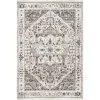 Oliveira Beige 8 ft. x 10 ft. Floral Medallion Fringe Indoor Area Rug by nuLOOM