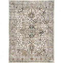 Darcie Traditional Medallion Beige 8 ft. 10 in. x 12 ft. Indoor Area Rug by nuLOOM