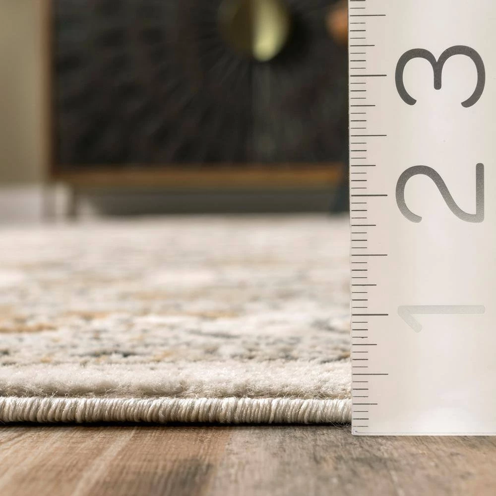 Darcie Traditional Medallion Beige 8 ft. 10 in. x 12 ft. Indoor Area Rug by nuLOOM 8 Darcie Traditional Medallion Beige 8 ft. 10 in. x 12 ft. Indoor Area Rug by nuLOOM - Image 8