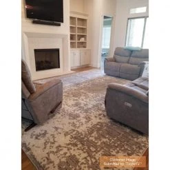 Deedra Misty Contemporary Gray 8 ft. x 10 ft. Area Rug by nuLOOM -nuLOOM Sales Store gray nuloom area rugs bdsm08a 76096 31 1000