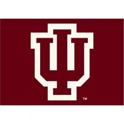 Indiana University 4 ft. by 6 ft. Spirit Area Rug by MILLIKEN