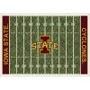 Iowa State University 6 ft. x 8 ft. Homefield Area Rug by MILLIKEN