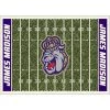 James Madison University 6 ft. x 8 ft. Homefield Area Rug by MILLIKEN