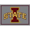 Iowa State University 6 ft. x 8 ft. Spirit Area Rug by MILLIKEN