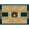 Auburn 4 ft. by 6 ft. Courtside Area Rug by MILLIKEN