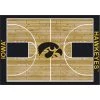 Iowa 4 ft. by 6 ft. Courtside Area Rug by MILLIKEN