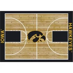 Iowa 4 ft. by 6 ft. Courtside Area Rug by MILLIKEN