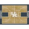 Kentucky 4 ft. by 6 ft. Courtside Area Rug by MILLIKEN